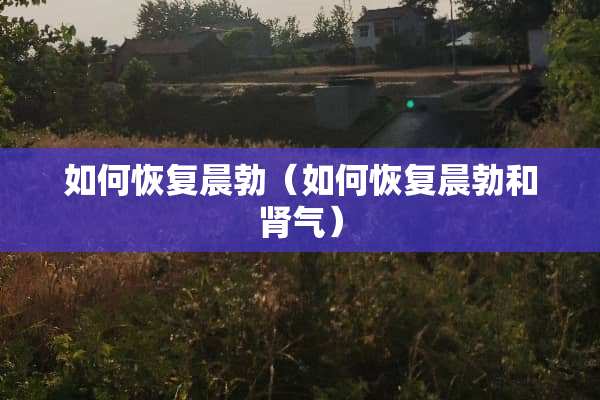如何恢复晨勃（如何恢复晨勃和肾气）