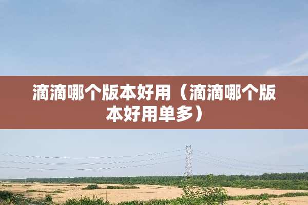 滴滴哪个版本好用（滴滴哪个版本好用单多）