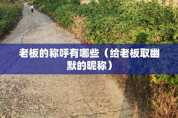 老板的称呼有哪些（给老板取幽默的昵称）