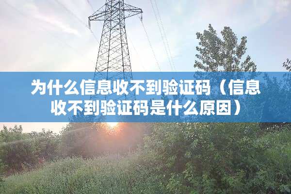 为什么信息收不到验证码（信息收不到验证码是什么原因）