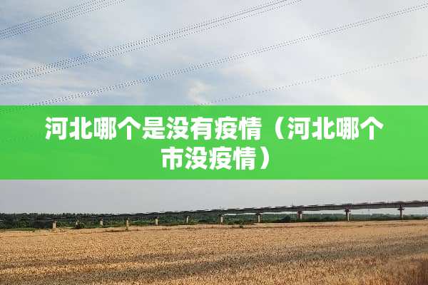 河北哪个是没有疫情（河北哪个市没疫情）