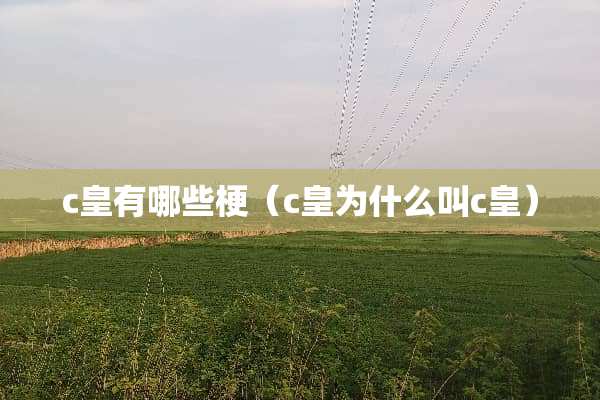 c皇有哪些梗（c皇为什么叫c皇）
