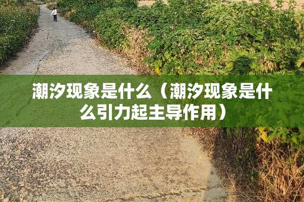 潮汐现象是什么（潮汐现象是什么引力起主导作用）