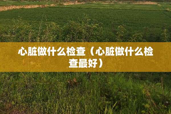心脏做什么检查（心脏做什么检查最好）