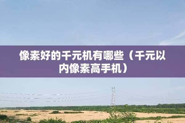 像素好的千元机有哪些（千元以内像素高手机）