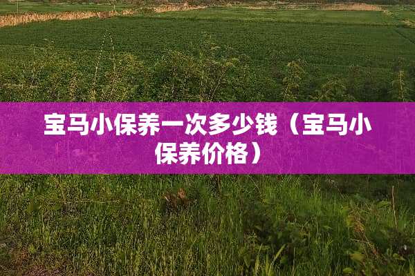 宝马小保养一次多少钱（宝马小保养价格）