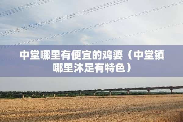 中堂哪里有便宜的鸡婆（中堂镇哪里沐足有特色）