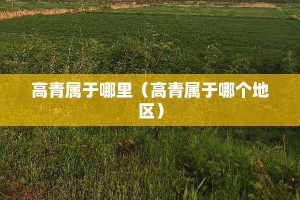 高青属于哪里（高青属于哪个地区）