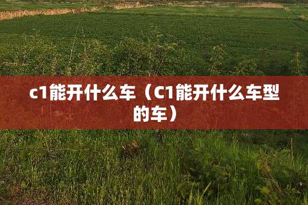 c1能开什么车（C1能开什么车型的车）
