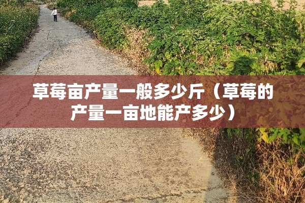 草莓亩产量一般多少斤（草莓的产量一亩地能产多少）