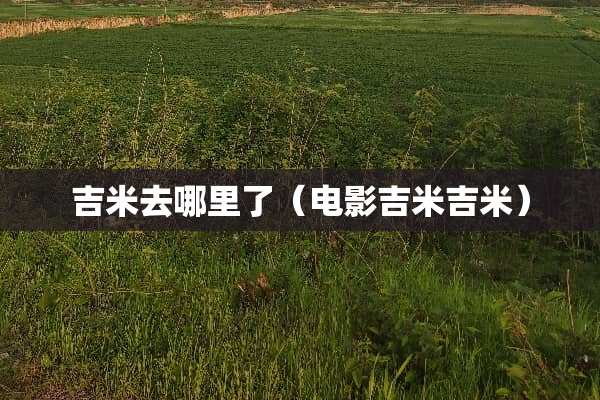 吉米去哪里了（电影吉米吉米）