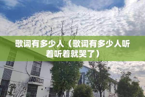 歌词有多少人（歌词有多少人听着听着就哭了）