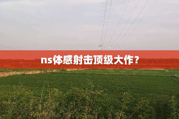 ns体感射击**大作？