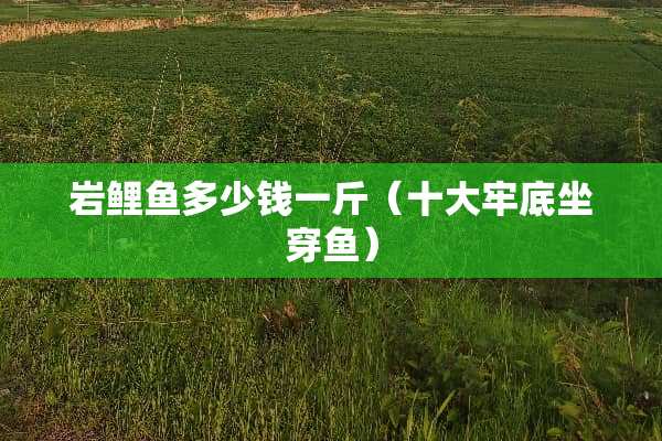 岩鲤鱼多少钱一斤（十大牢底坐穿鱼）