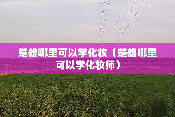 楚雄哪里可以学化妆（楚雄哪里可以学化妆师）