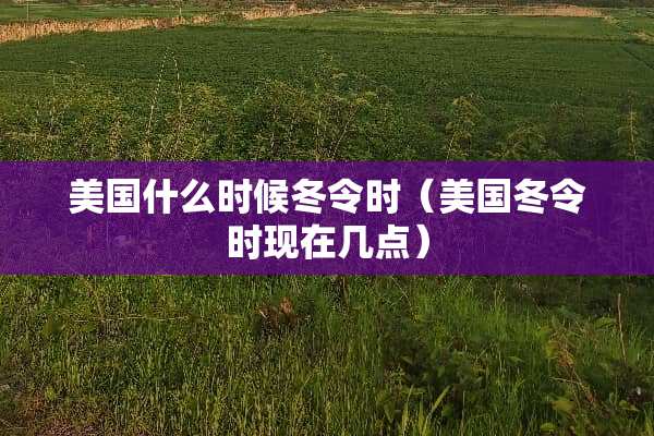 美国什么时候冬令时（美国冬令时现在几点）