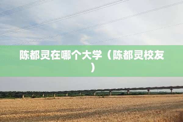 陈都灵在哪个大学（陈都灵校友）