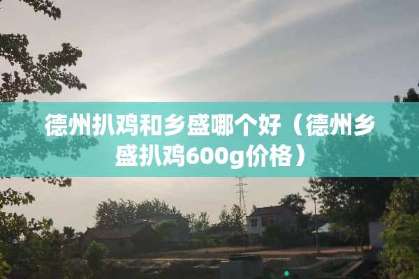 德州扒鸡和乡盛哪个好（德州乡盛扒鸡600g价格）