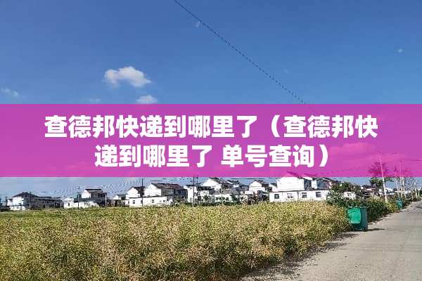 查德邦快递到哪里了（查德邦快递到哪里了 单号查询）