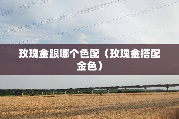 玫瑰金跟哪个色配（玫瑰金搭配金色）