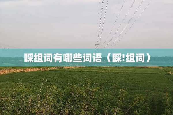 睬组词有哪些词语（睬!组词）