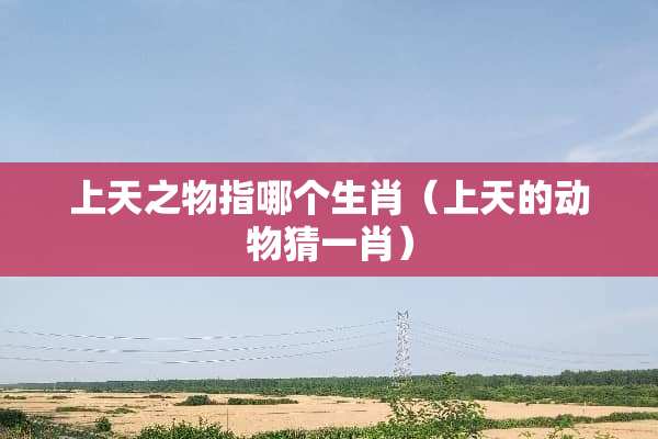 上天之物指哪个生肖（上天的动物猜**）