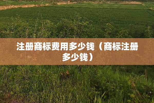注册商标费用多少钱（商标注册多少钱）
