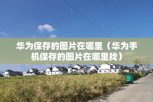 华为保存的图片在哪里（华为手机保存的图片在***）