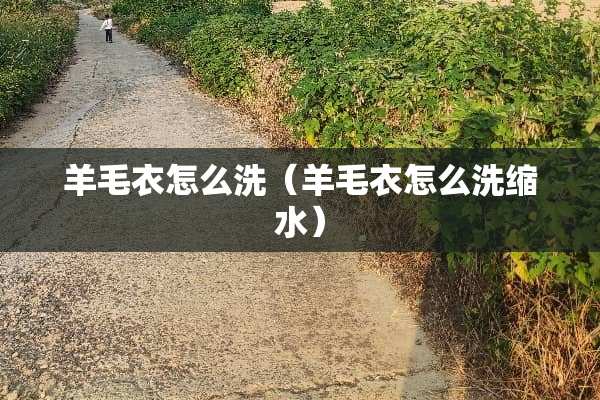 羊毛衣怎么洗（羊毛衣怎么洗缩水）
