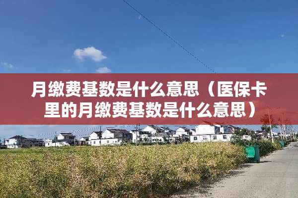 月缴费基数是什么意思（医保卡里的月缴费基数是什么意思）