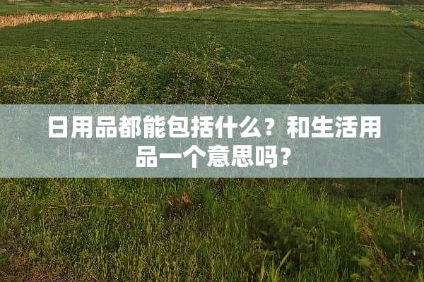 日用品都能包括什么？和生活用品一个意思吗？