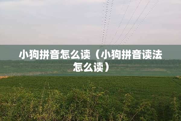 小狗拼音怎么读（小狗拼音读法怎么读）