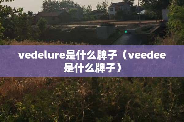 vedelure是什么牌子（veedee是什么牌子）