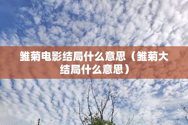 雏菊电影结局什么意思（雏菊大结局什么意思）