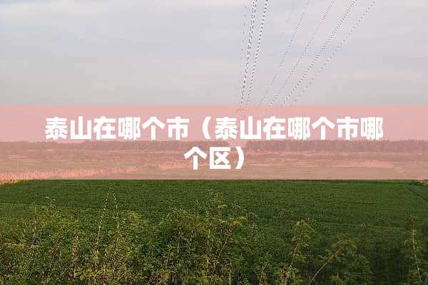 泰山在哪个市（泰山在哪个市哪个区）