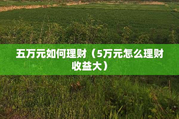 五万元如何理财（5万元怎么理财收益大）