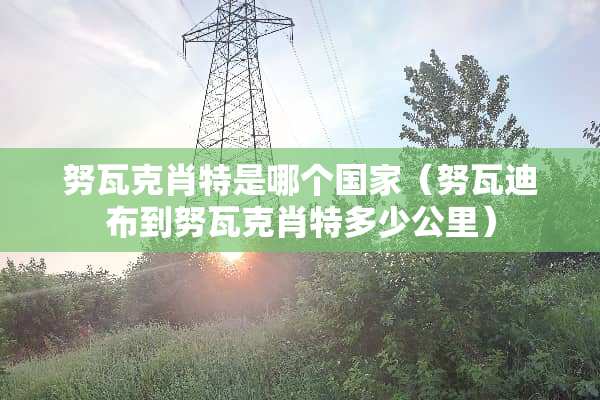 努瓦克肖特是哪个国家（努瓦迪布到努瓦克肖特多少公里）