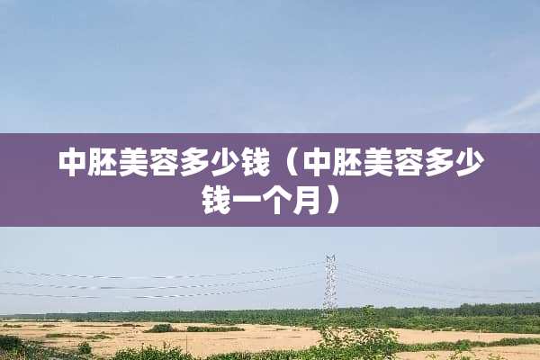 中胚美容多少钱（中胚美容多少钱一个月）