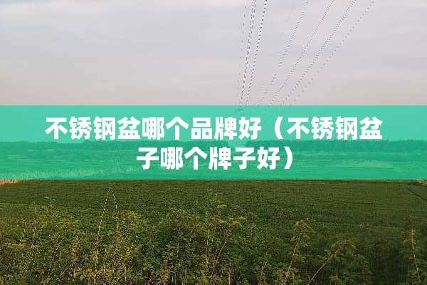 不锈钢盆哪个品牌好（不锈钢盆子哪个牌子好）