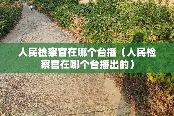 人民检察官在哪个台播（人民检察官在哪个台播出的）