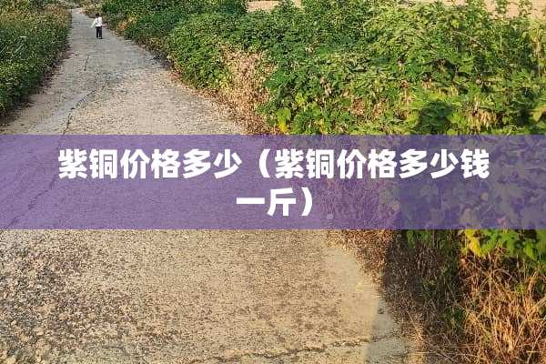 紫铜价格多少（紫铜价格多少钱一斤）