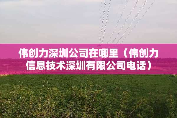 伟创力深圳公司在哪里（伟创力信息技术深圳有限公司电话）