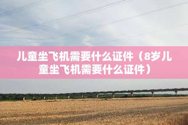 儿童坐飞机需要什么证件（8岁儿童坐飞机需要什么证件）