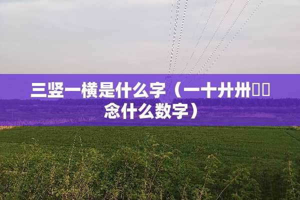 三竖一横是什么字（一十廾卅卌卌念什么数字）