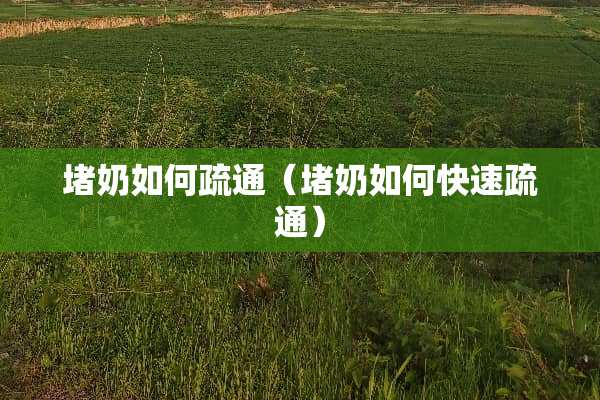 堵奶如何疏通（堵奶如何快速疏通）