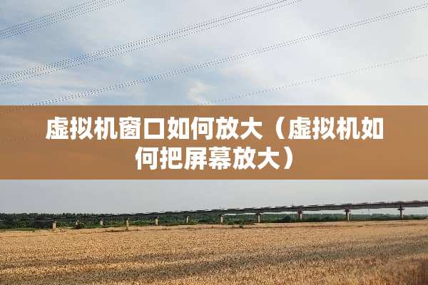 虚拟机窗口如何放大（虚拟机如何把屏幕放大）