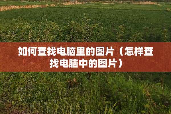 如何查找电脑里的图片（怎样查找电脑中的图片）