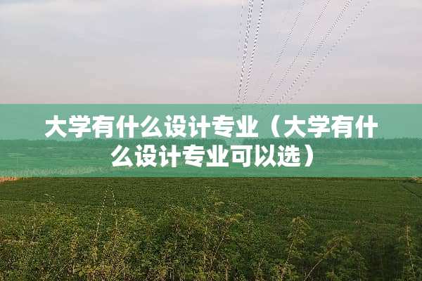 大学有什么设计专业（大学有什么设计专业可以选）