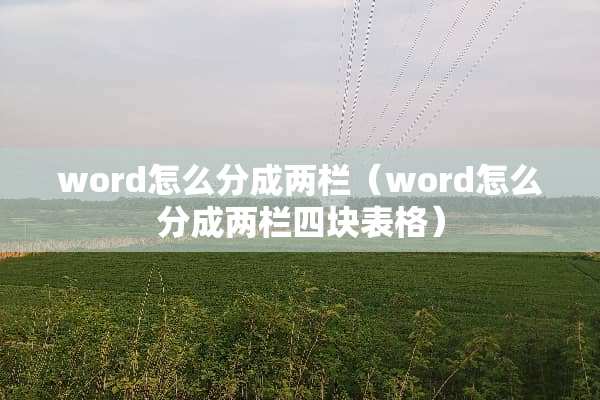 word怎么分成两栏（word怎么分成两栏四块表格）