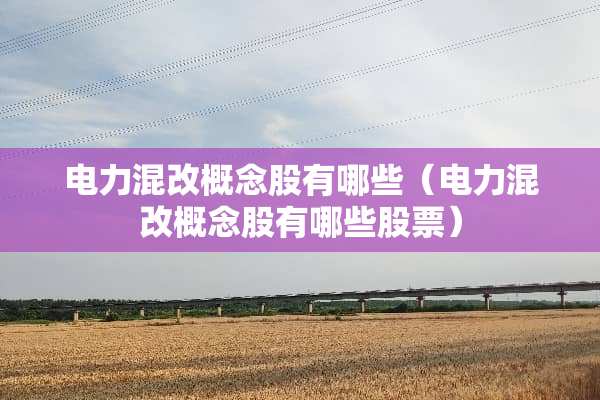 电力混改概念股有哪些（电力混改概念股有哪些股票）